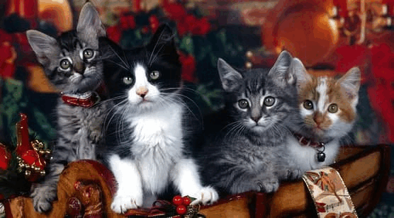 接吻技巧让他销销魂