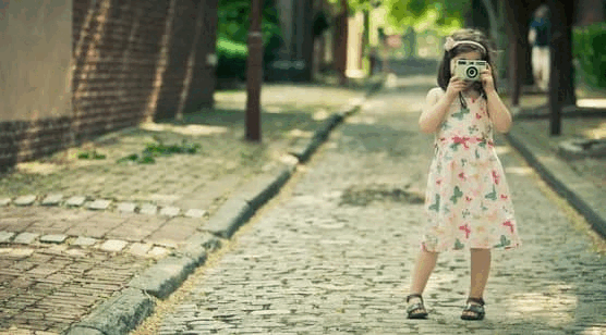 桃花影，玫瑰花香