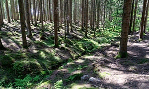 盘点最基本的23个性爱姿...