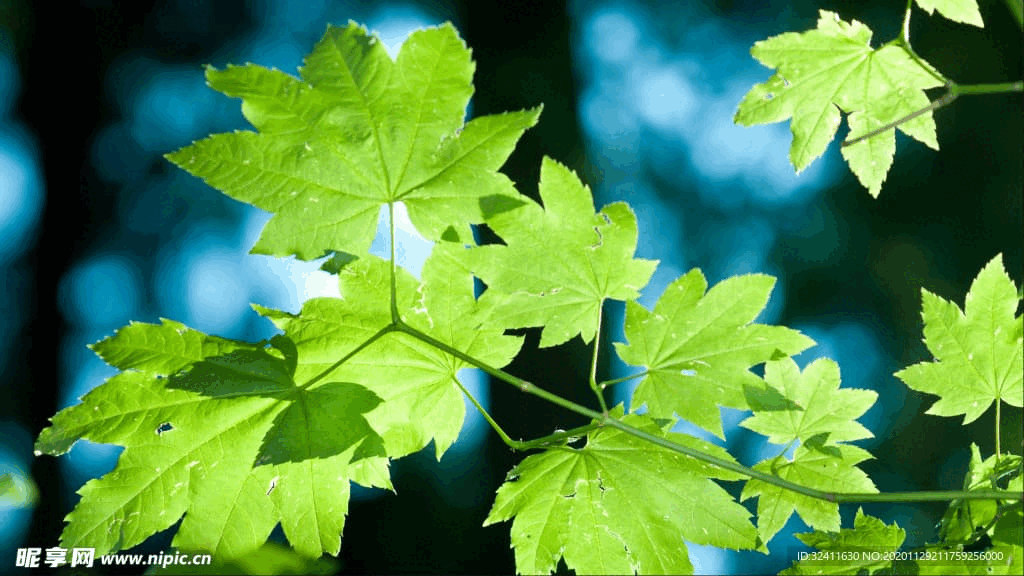 女人必会的主导性爱姿势