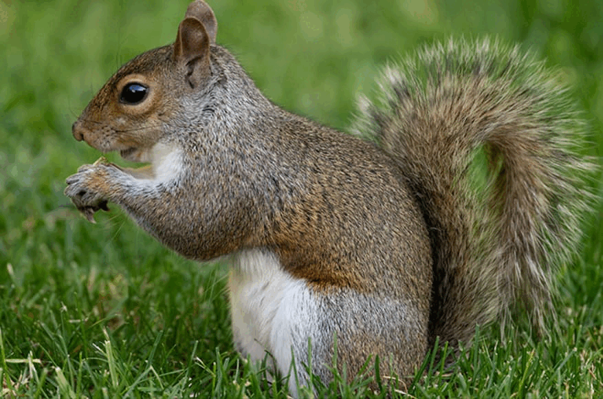 把网名改成:马化腾