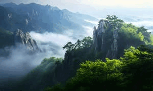 梦中的白衣女子