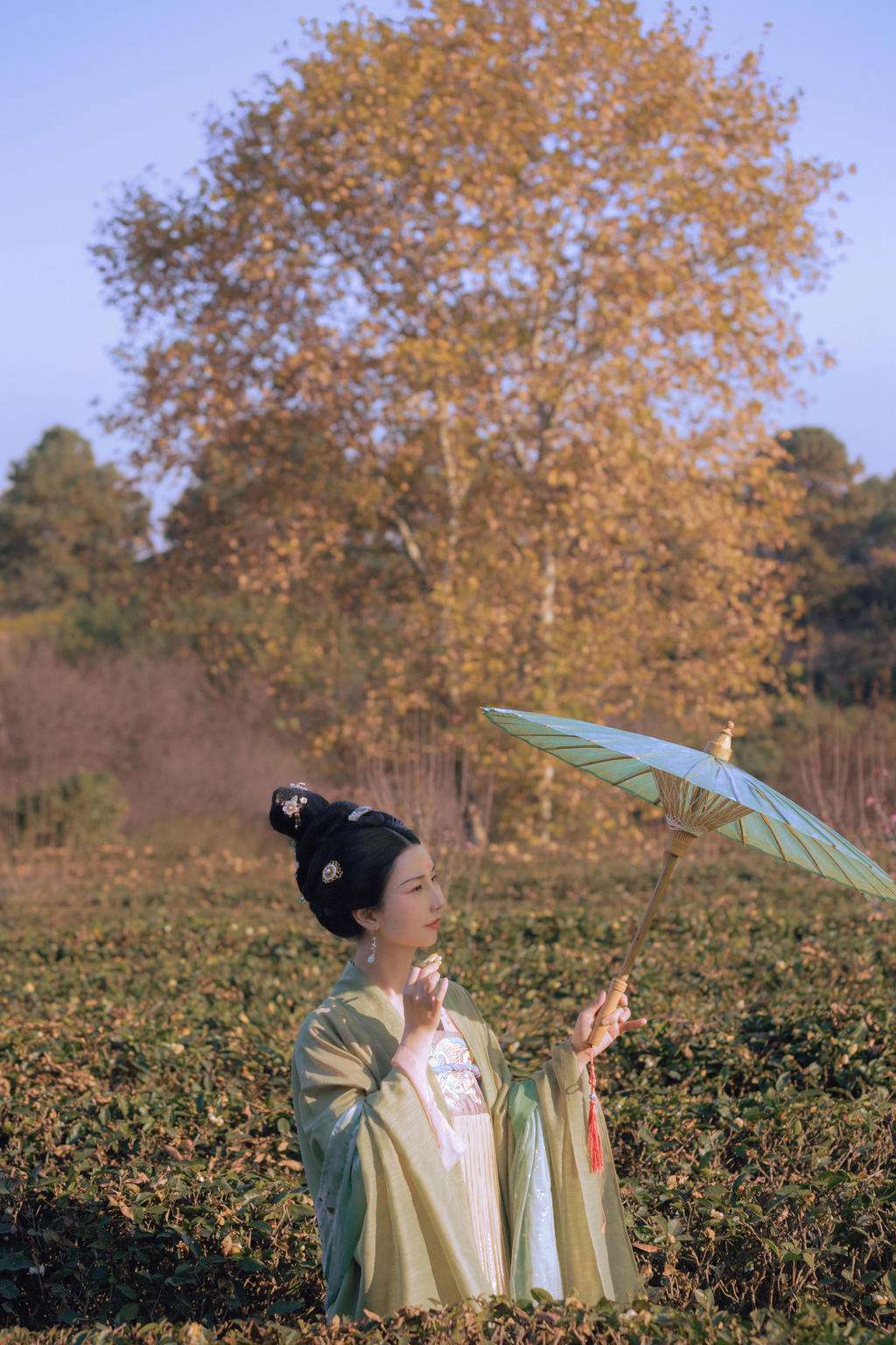 古装美女花容月貌秀色可餐图片
